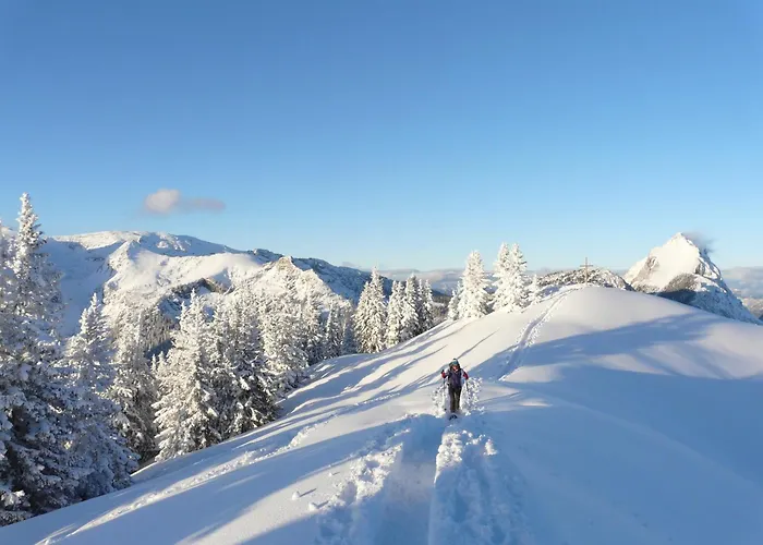 Appartement Erzberg Alpin By Alps *