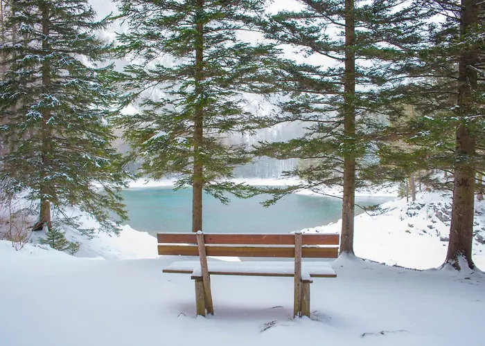 Erzberg Alpin By Alps *